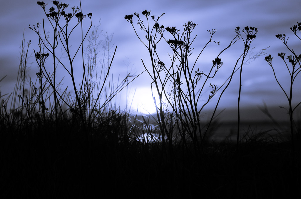Blauer Morgen