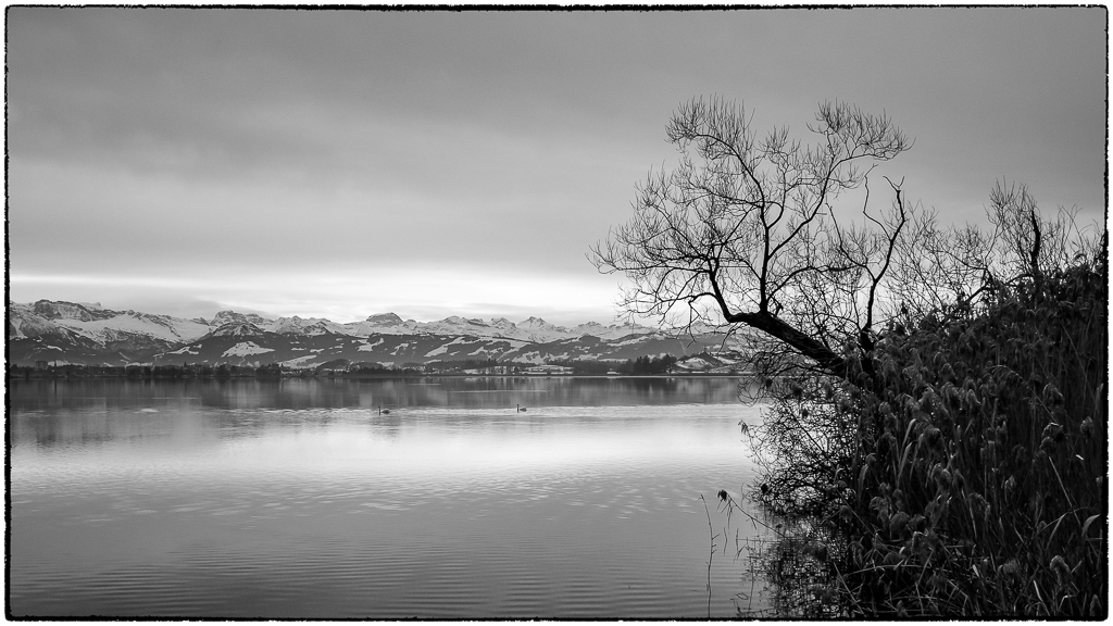 Blick auf den See