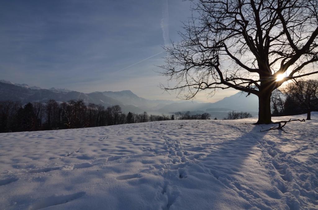 Blick auf den Vierwaldstättersee von Meggenhorn gen Rigi