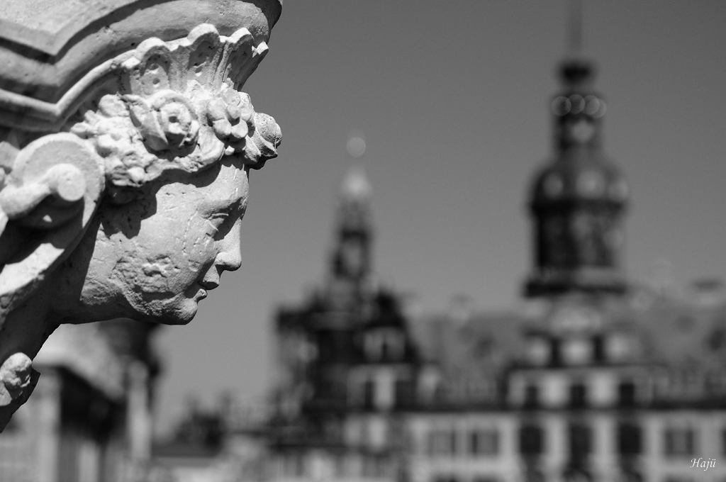 Blick auf den Zwinger