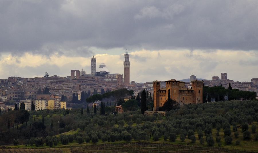 Blick auf Siena