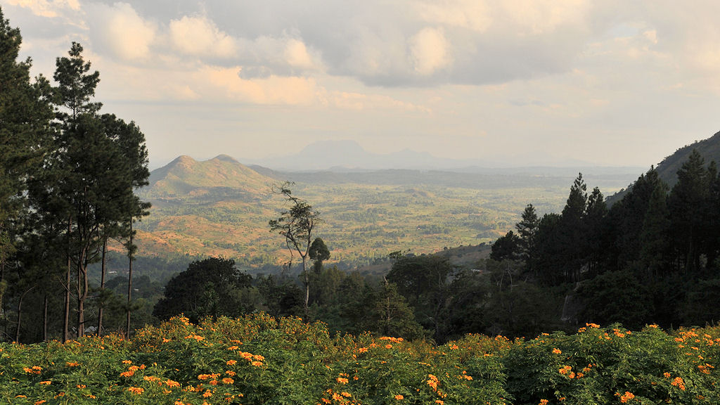 Blick auf Zomba bei der Auffahrt zum Zomba Plateau
s230 Zomba 0212