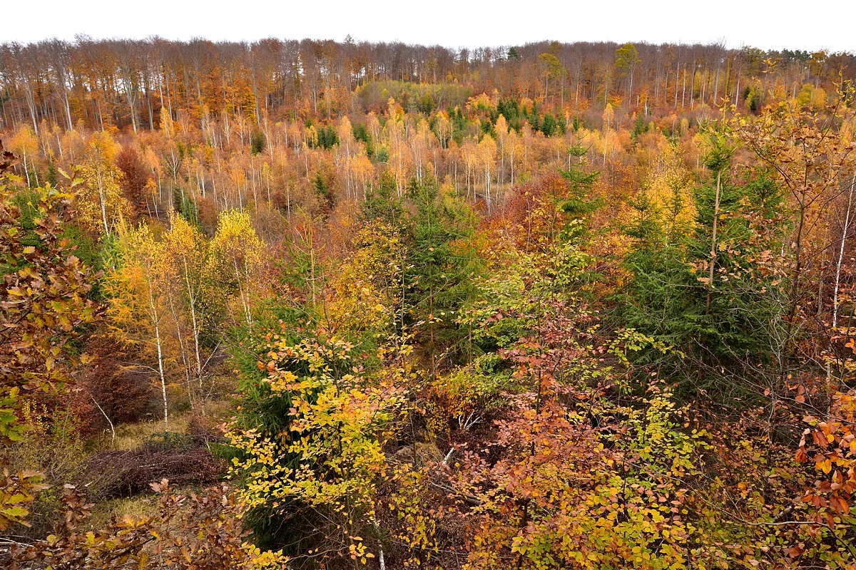 Blick ins Mädertal 2018 24450