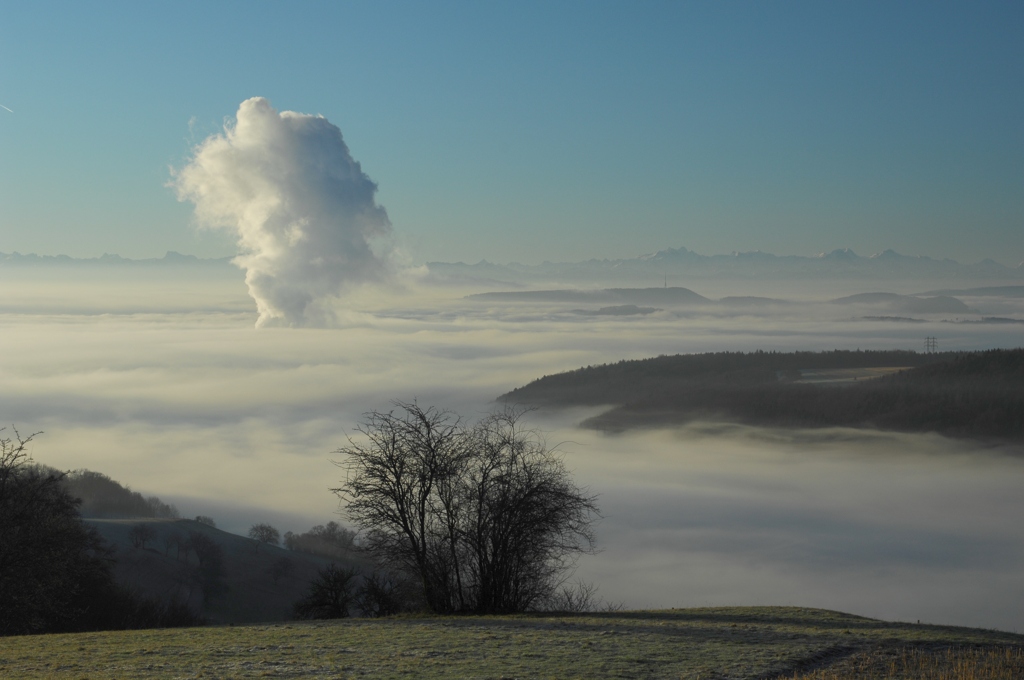 Blick vom Hochschwarzwald nach Süden Richtung Schweiz und Alpen auf das AKW Leibstadt
D2X 0068 web