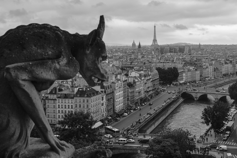 Blick vom Notre Dame