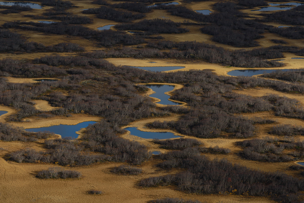 Blick vom Vindbelgjarfjall 20141010 123108 island 2014