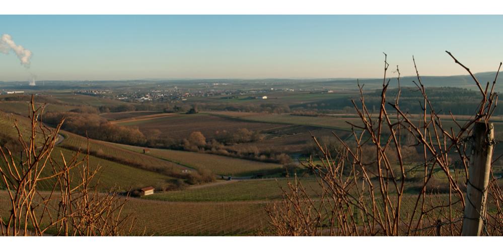 Blick vom Zweifelsberg
