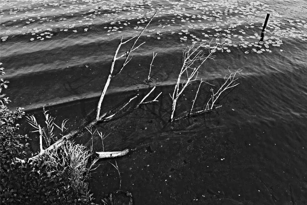 BlnWeg 02 0022 120909 SW 1024