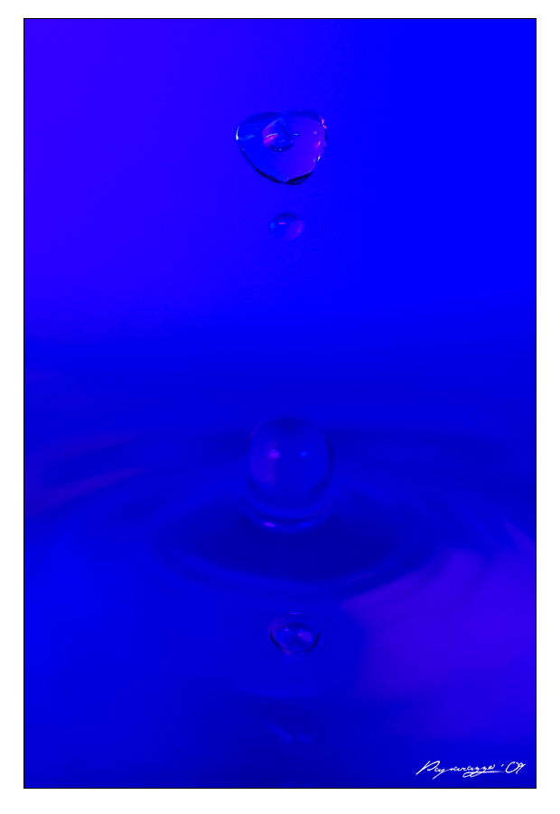blubber2
