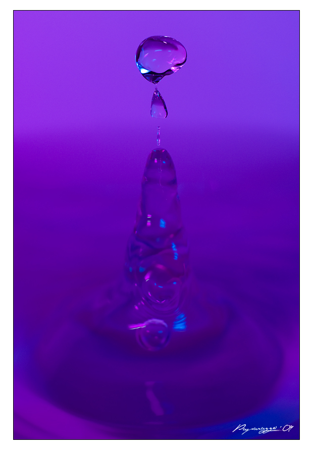 blubber3