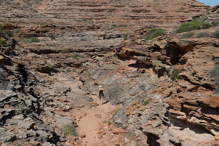 bluff22