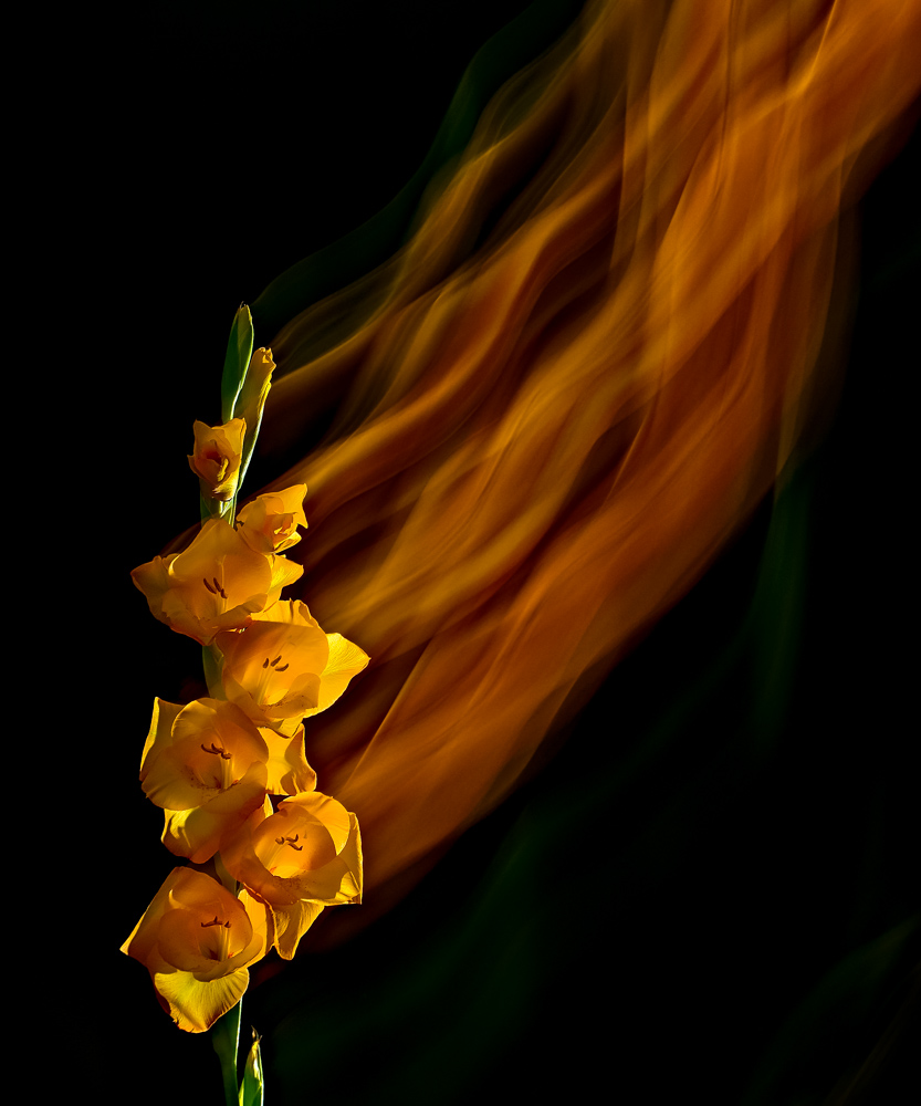Blumen