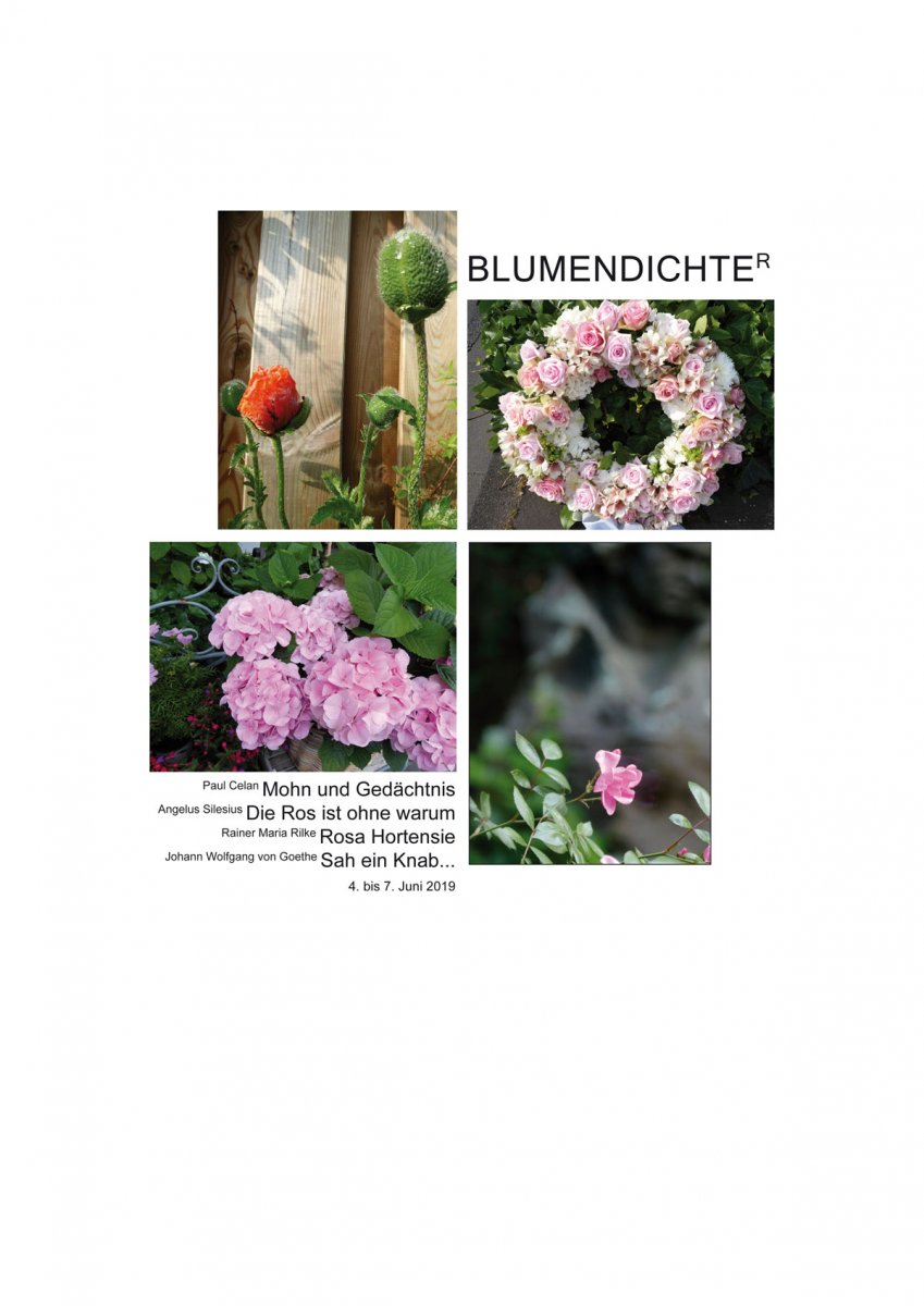 BlumendichteR