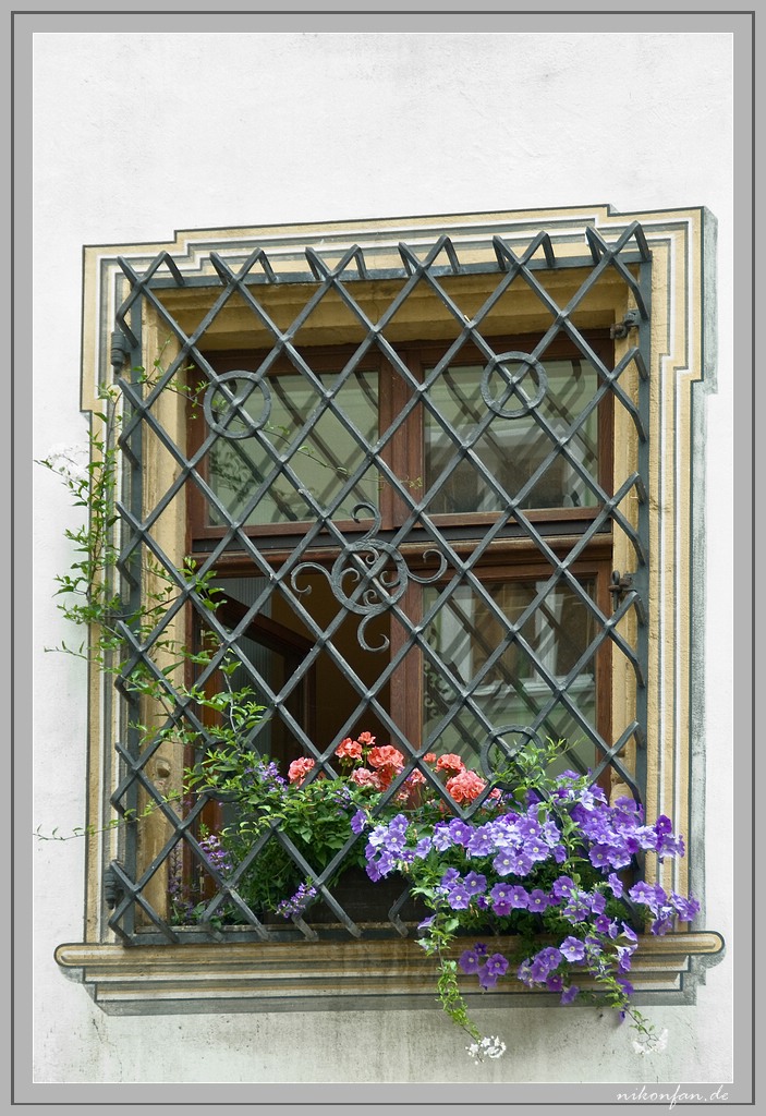 Blumenfenster mit Gitter