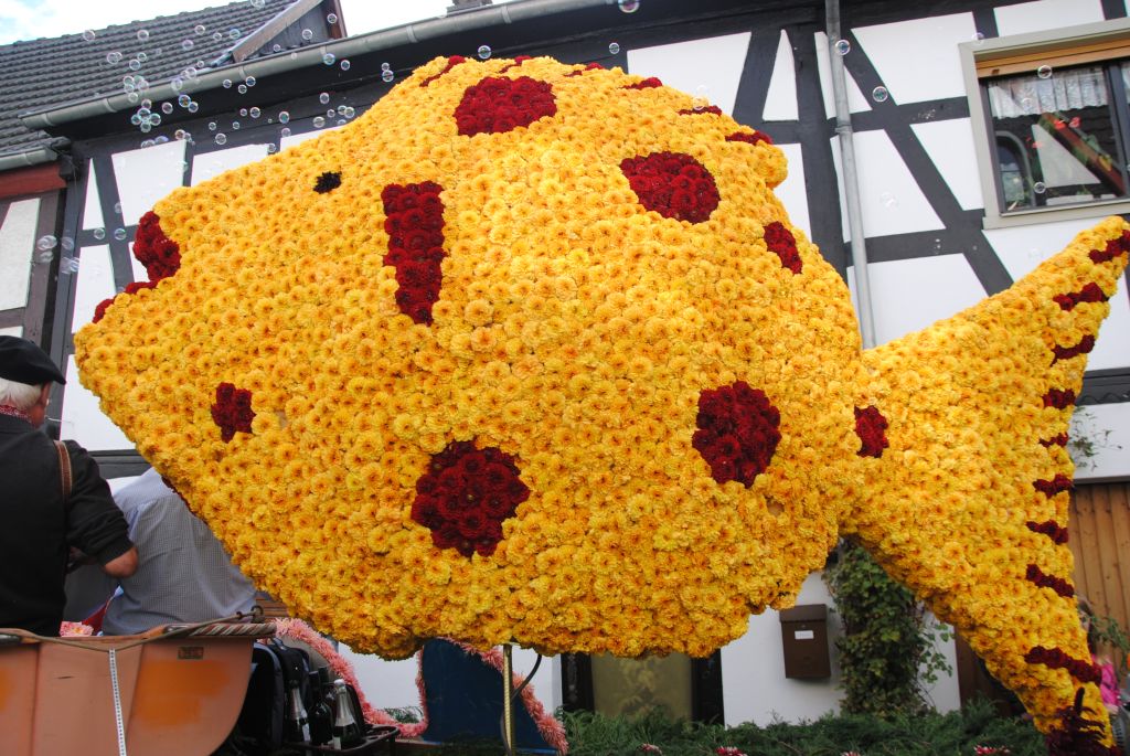 Blumenfisch