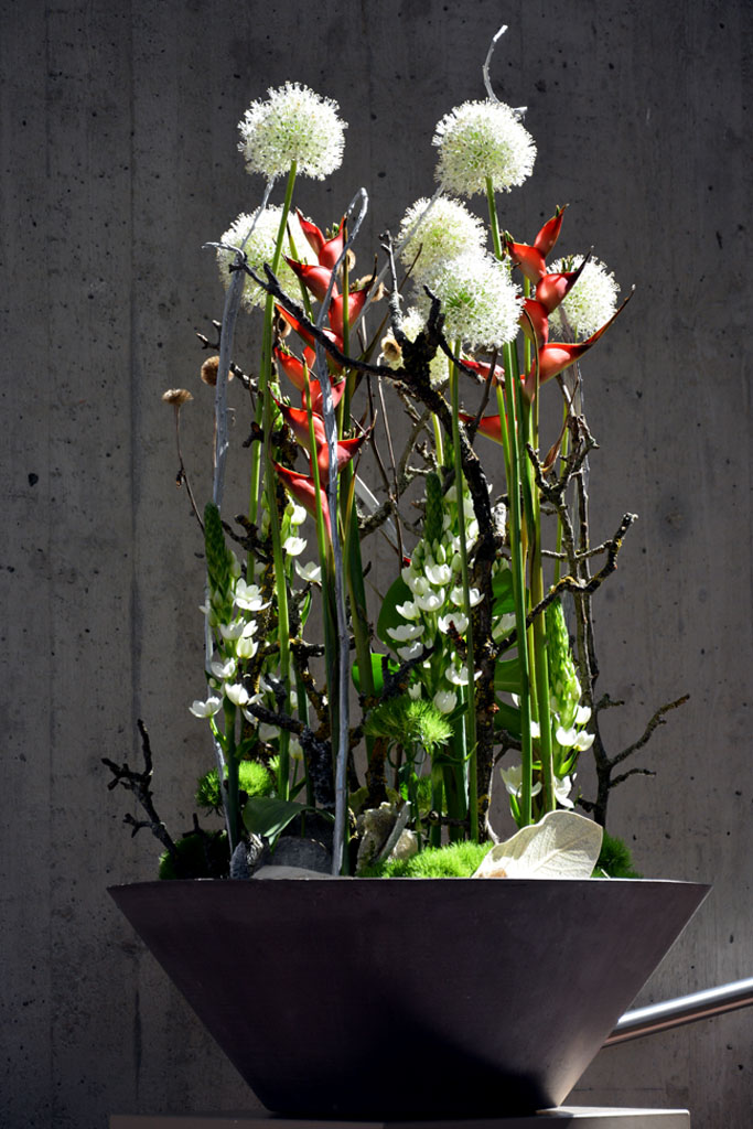 Blumenhalle2