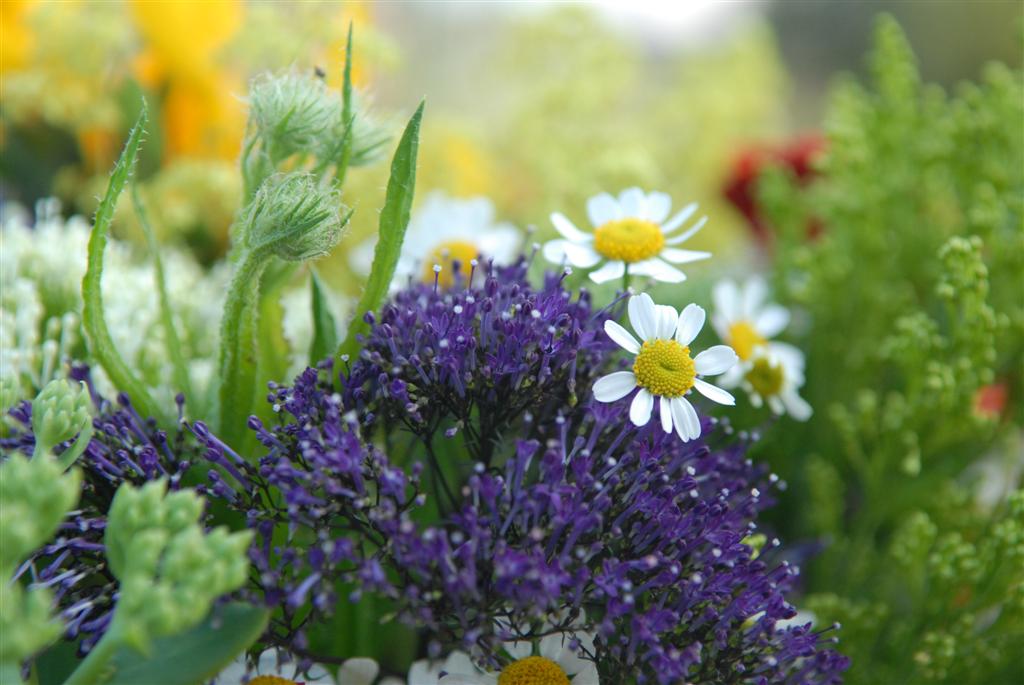 Blumenstrauß 2