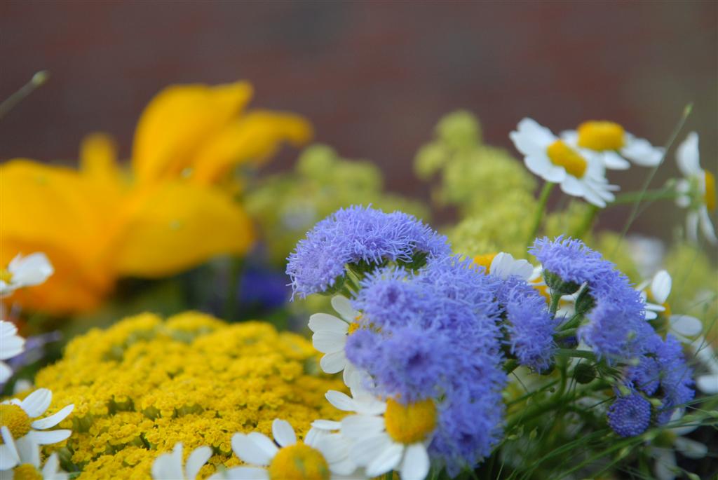 Blumenstrauß