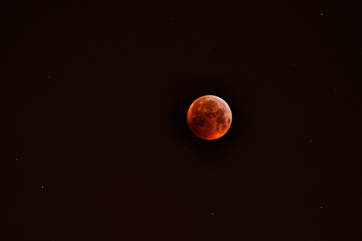 blutMond 1200