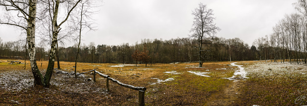Boberger Niederung