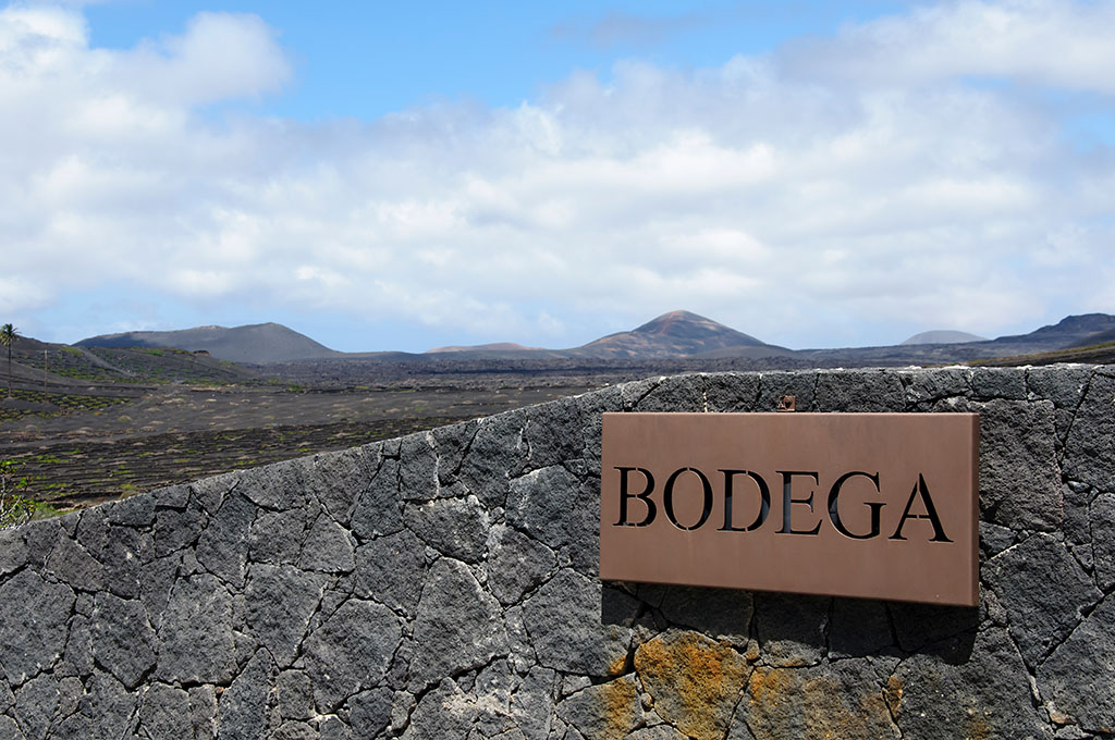 Bodega Stratvs