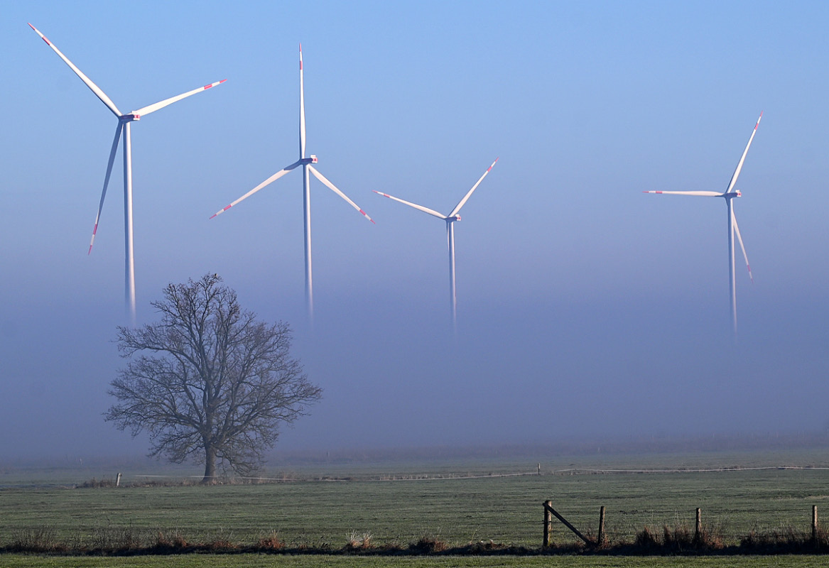 Bodennebel in den Seewiesen.jpg