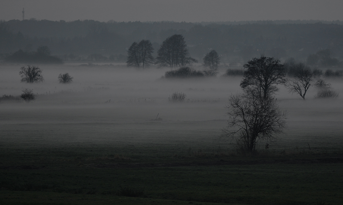 Bodennebel