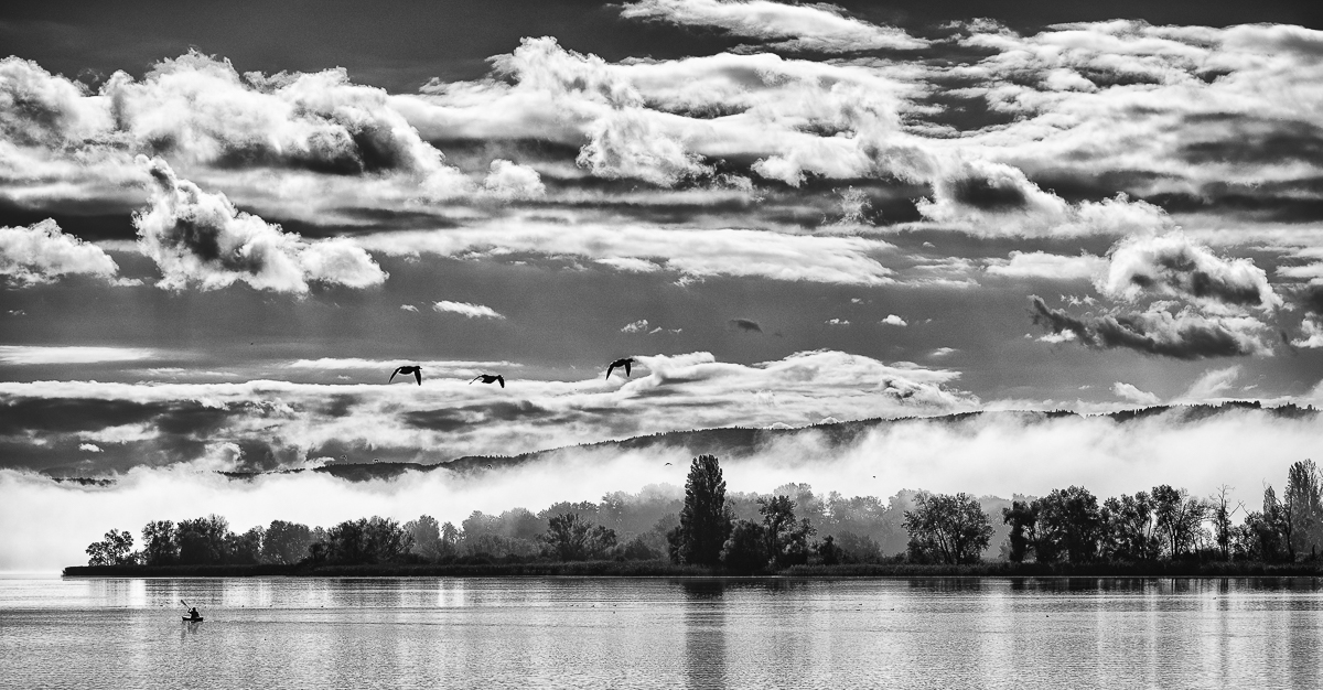 Bodensee-5376-Bearbeitet.jpg