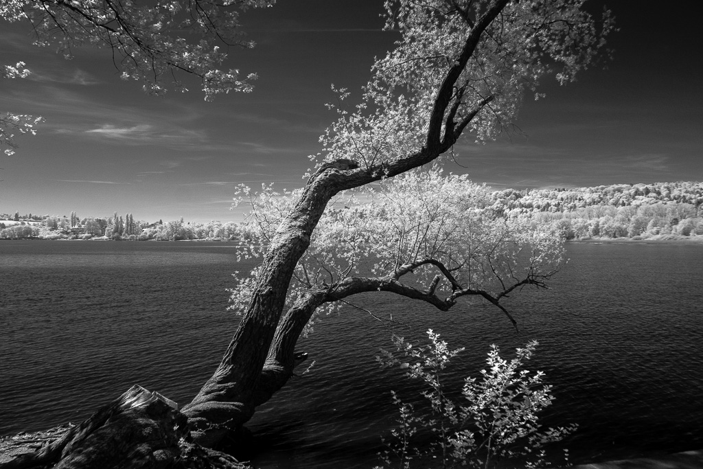 Bodensee infrarot