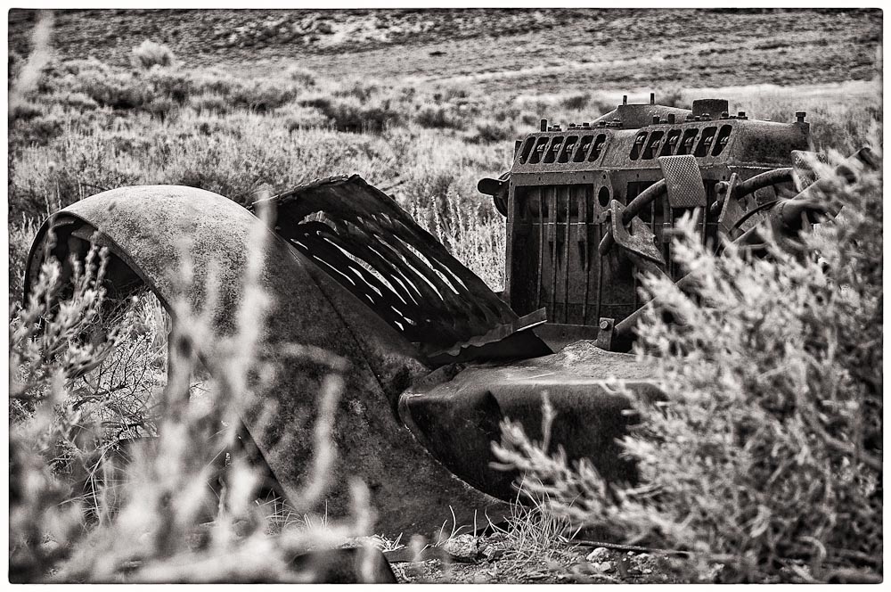 bodie 1