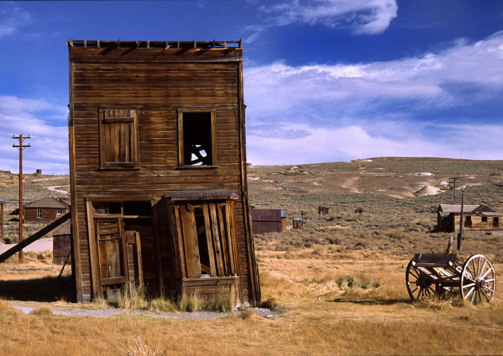 Bodie