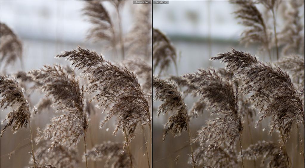 Bokeh 70200 STF Sony STF 135