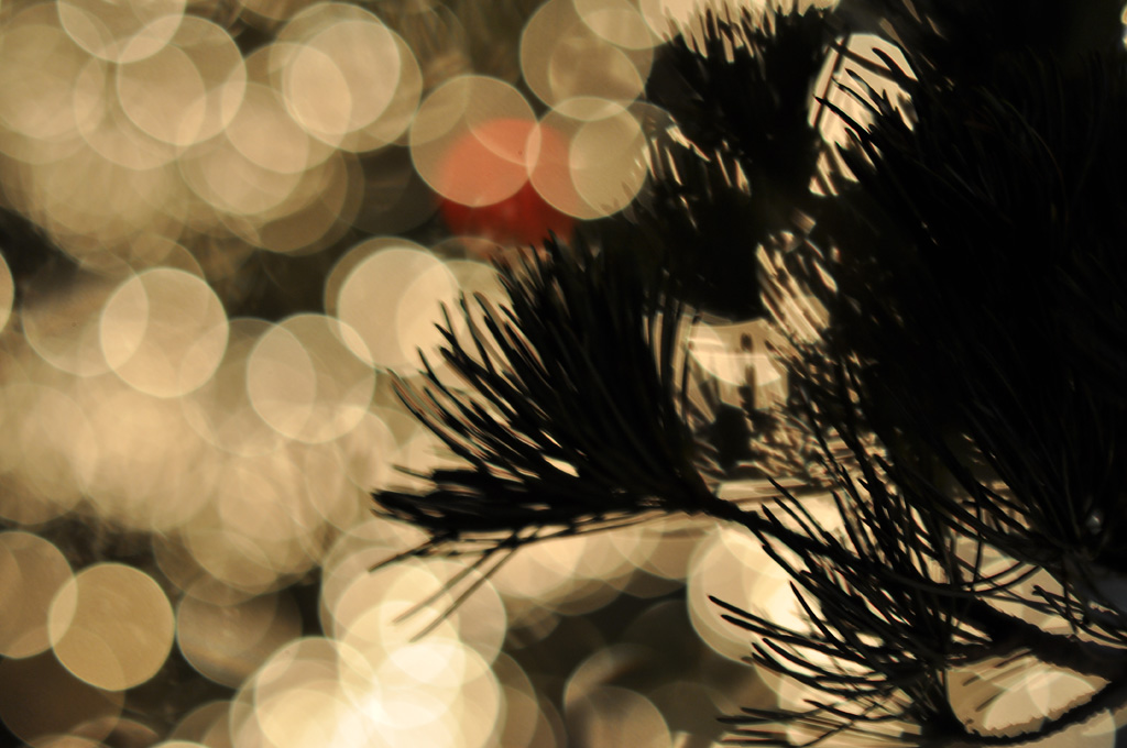 bokeh