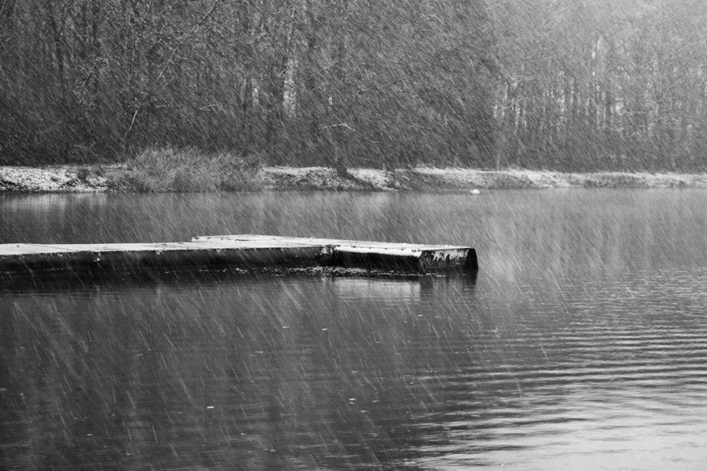 Bonjour tristesse
