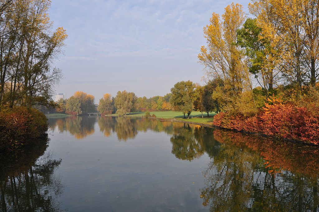 Bonn, Rheinaue im Herbst