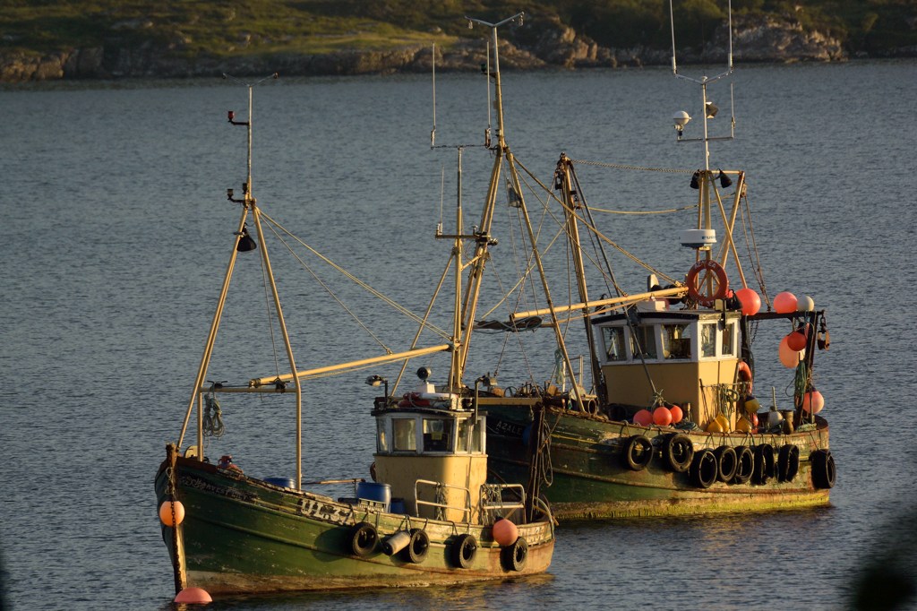 boote