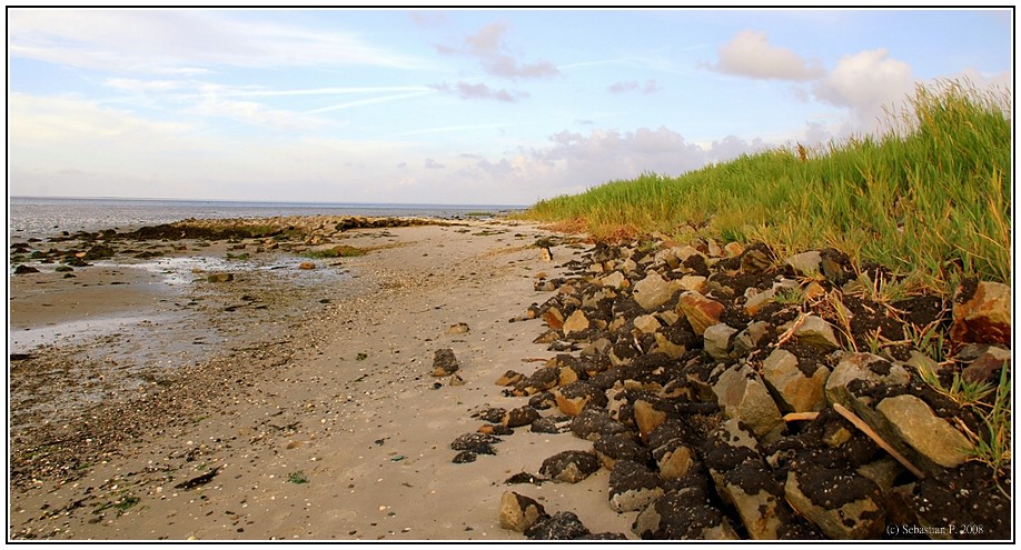 Borkum 2008_NF-F