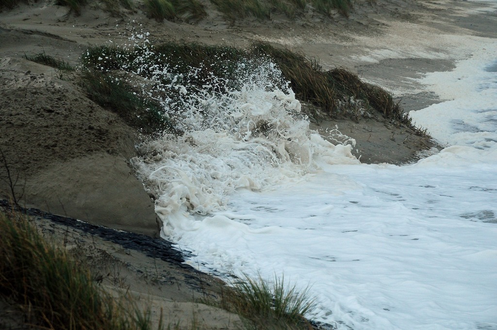 Borkum: Dünen werden attackiert (MHX 6494AKUSMx)