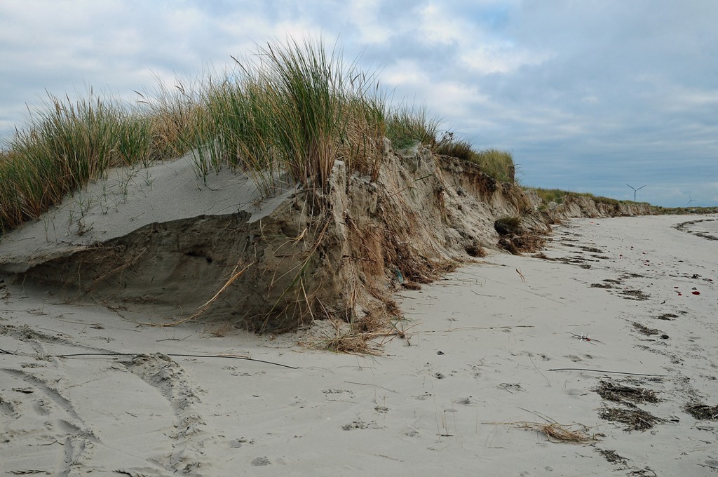 Borkum: Dünenabbrüche nach Sturmflut, Südstrand/Ronde Plate (MHX 6896AKUSMx)