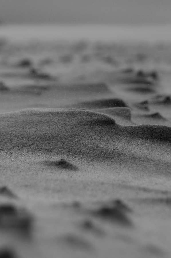 Borkum LOE4238 sw
