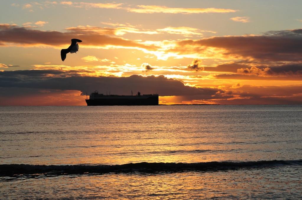 Borkum: Sonnenuntergang Weststrand (MHX 5801USMx)