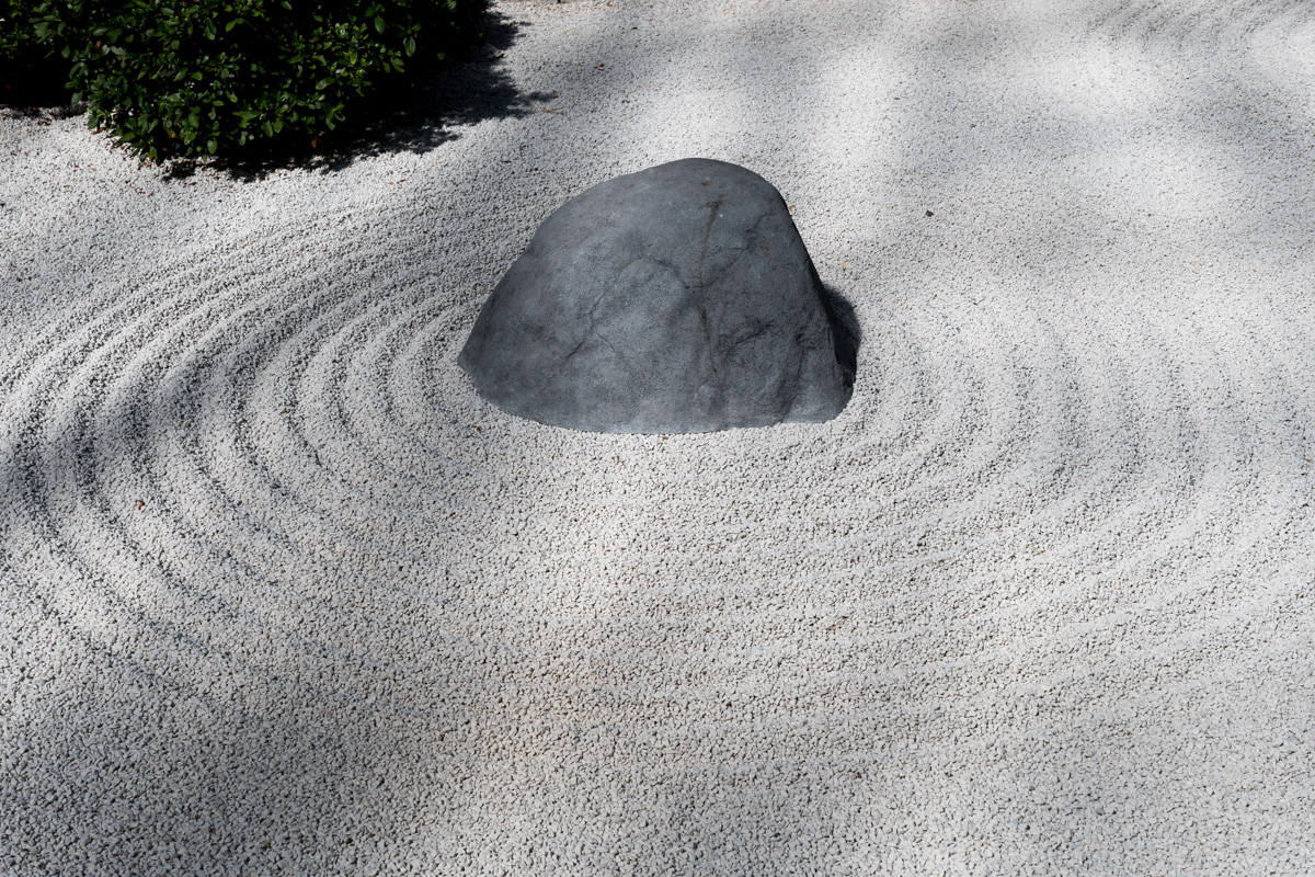 Botanika-005.jpg