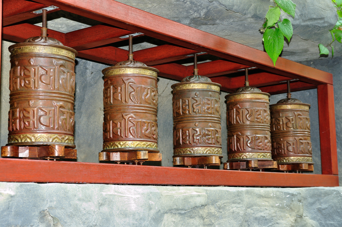 Botanika-009.jpg
