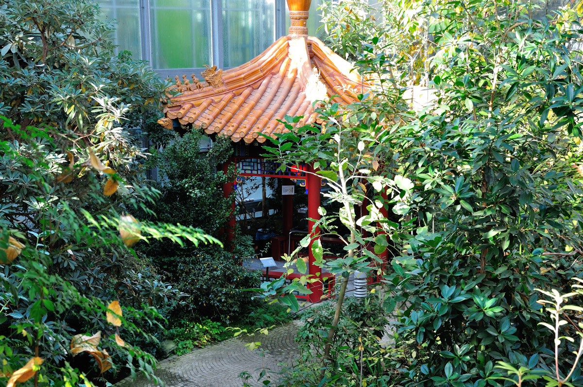 Botanika-010.jpg
