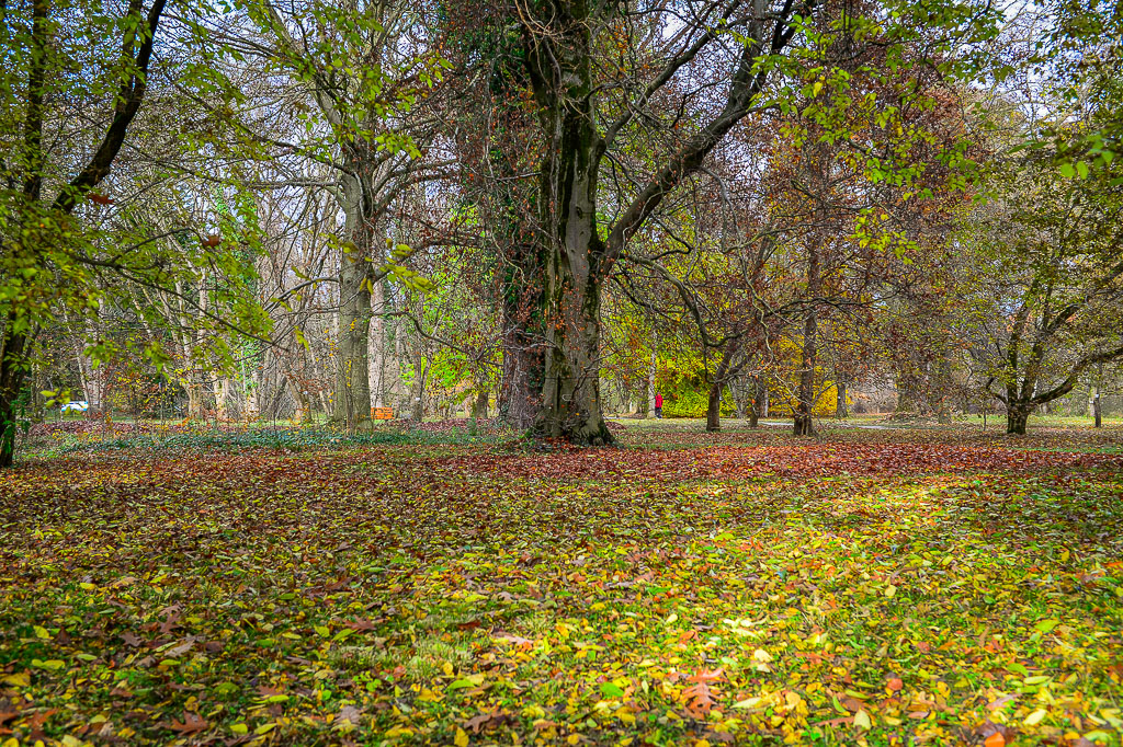 Botanischer Garten Herbst