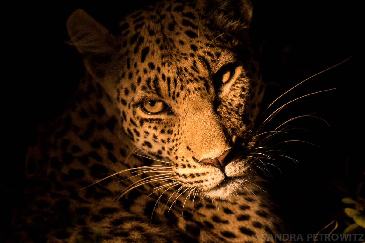 Botswana 2017 SPE 05756