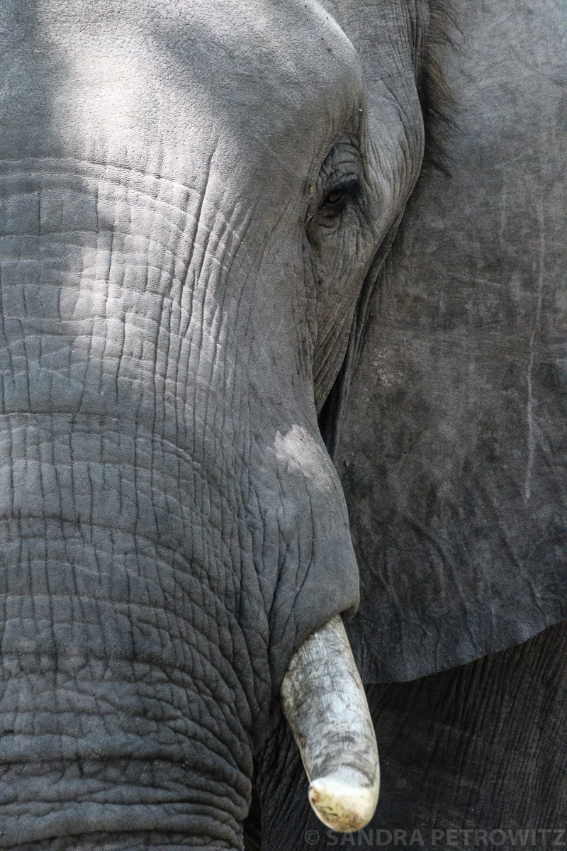 Botswana 2018 SPE 7074