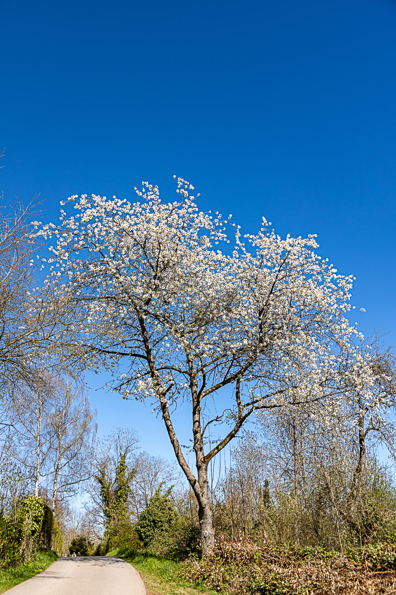 BQ4A6861.jpg