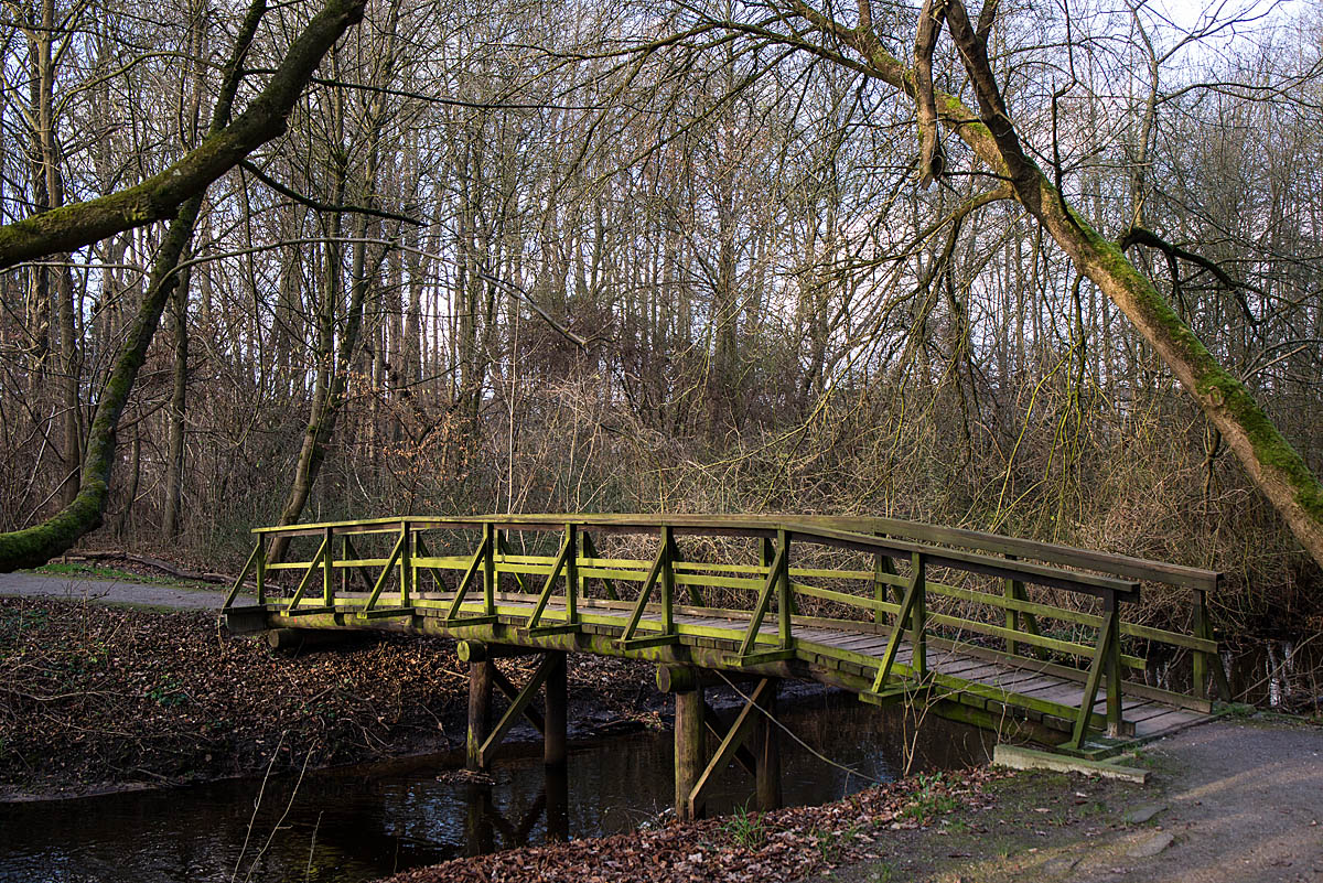 Brücke 1
