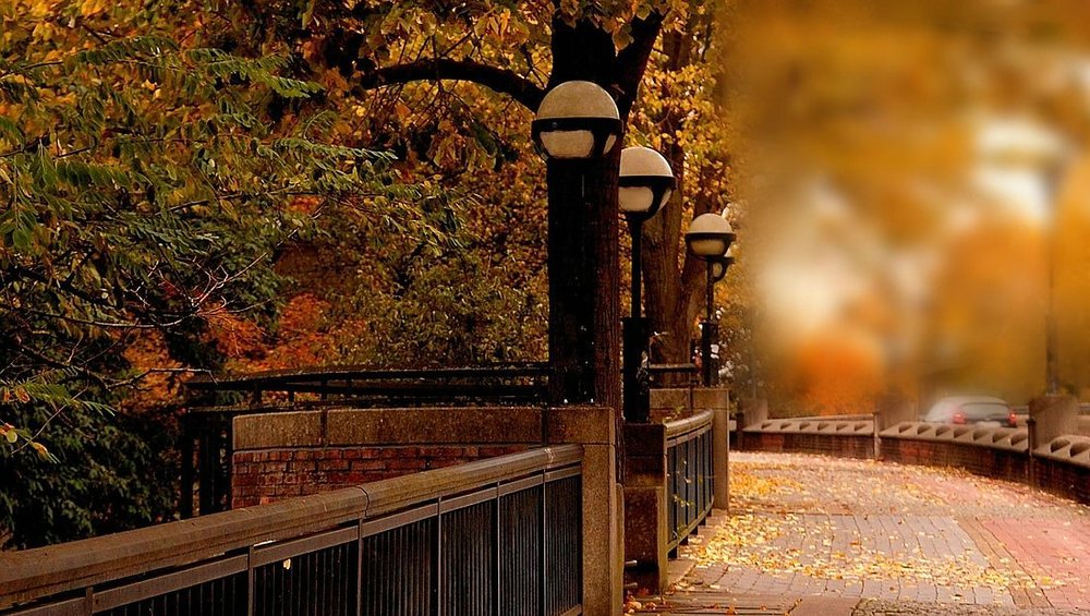 Brücke im Herbst